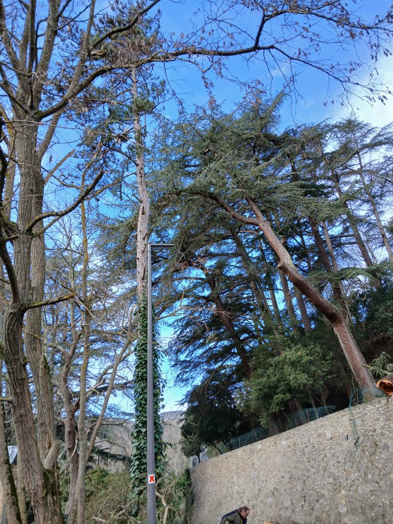 lampadaire décapité